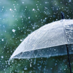 image of umbrella in rain